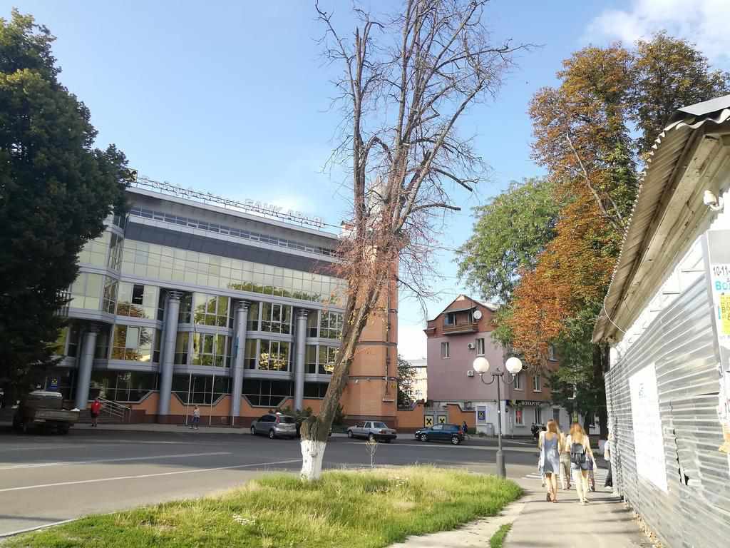 Обережно, небезпека: на кого чатують сухі дерева в центрі Полтави. ФОТО