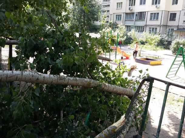 На Полтавщині дерево упало на дитячий майданчик: є постраждалі 