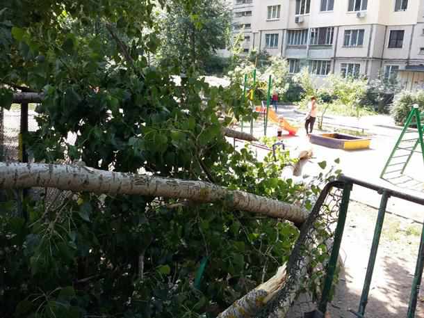 На Полтавщині дерево упало на дитячий майданчик: є постраждалі