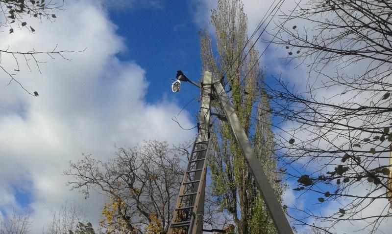Через негоду на Полтавщині без електропостачання лишилися мешканці 82 населених пунктів