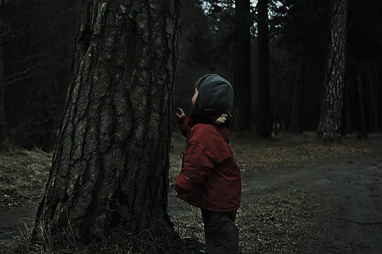 Ніч у лісі: на Полтавщині шукали 8-річну дитину